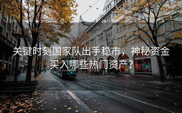關(guān)鍵時(shí)刻國家隊出手穩市，神秘資金買(mǎi)入哪些熱門(mén)資產(chǎn)？