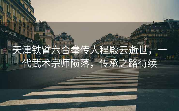 天津鐵臂六合拳傳人程殿云逝世，一代武術(shù)宗師隕落，傳承之路待續