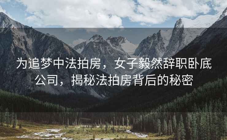 為追夢(mèng)中法拍房，女子毅然辭職臥底公司，揭秘法拍房背后的秘密