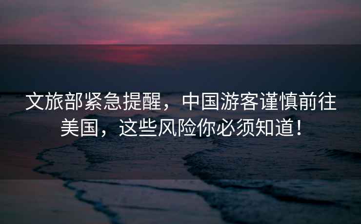 文旅部緊急提醒，中國游客謹慎前往美國，這些風(fēng)險你必須知道！