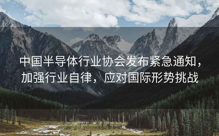 中國半導體行業(yè)協(xié)會(huì )發(fā)布緊急通知，加強行業(yè)自律，應對國際形勢挑戰