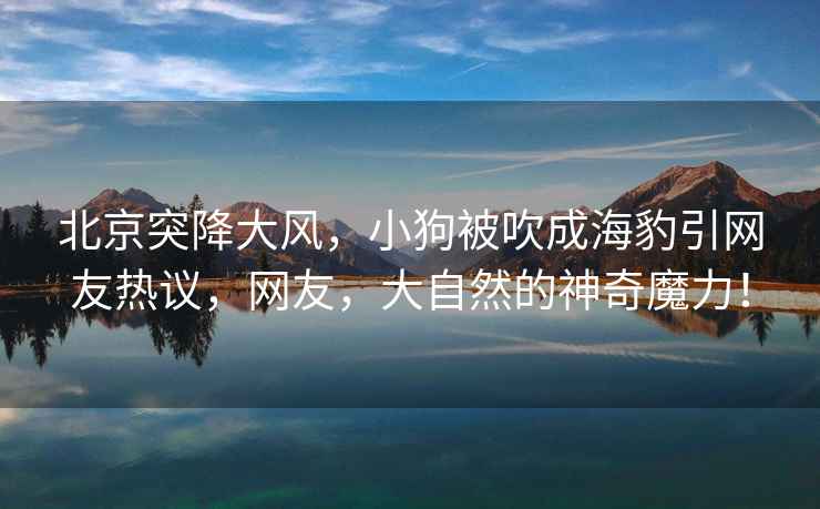 北京突降大風(fēng)，小狗被吹成海豹引網(wǎng)友熱議，網(wǎng)友，大自然的神奇魔力！