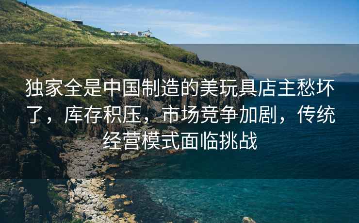 獨家全是中國制造的美玩具店主愁壞了，庫存積壓，市場(chǎng)競爭加劇，傳統經(jīng)營(yíng)模式面臨挑戰