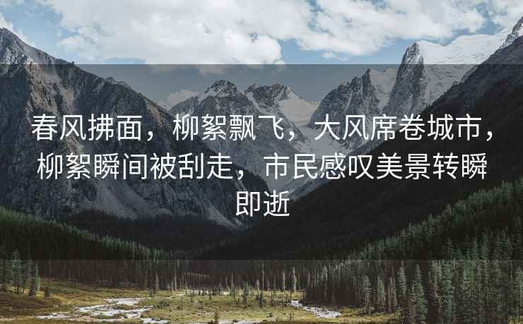 春風(fēng)拂面，柳絮飄飛，大風(fēng)席卷城市，柳絮瞬間被刮走，市民感嘆美景轉瞬即逝
