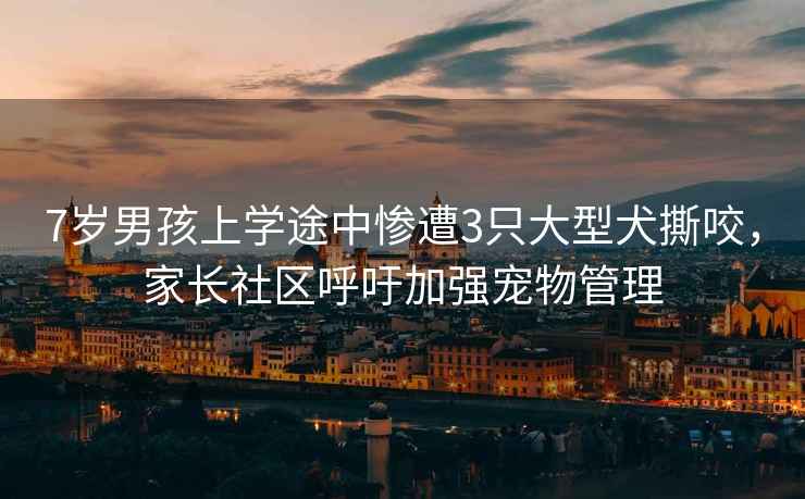 7歲男孩上學(xué)途中慘遭3只大型犬撕咬，家長(cháng)社區呼吁加強寵物管理