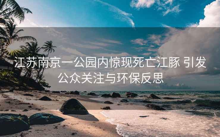 江蘇南京一公園內驚現死亡江豚 引發(fā)公眾關(guān)注與環(huán)保反思