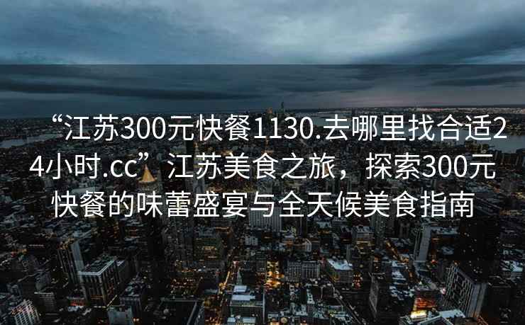 “江蘇300元快餐1130.去哪里找合適24小時(shí).cc”江蘇美食之旅，探索300元快餐的味蕾盛宴與全天候美食指南
