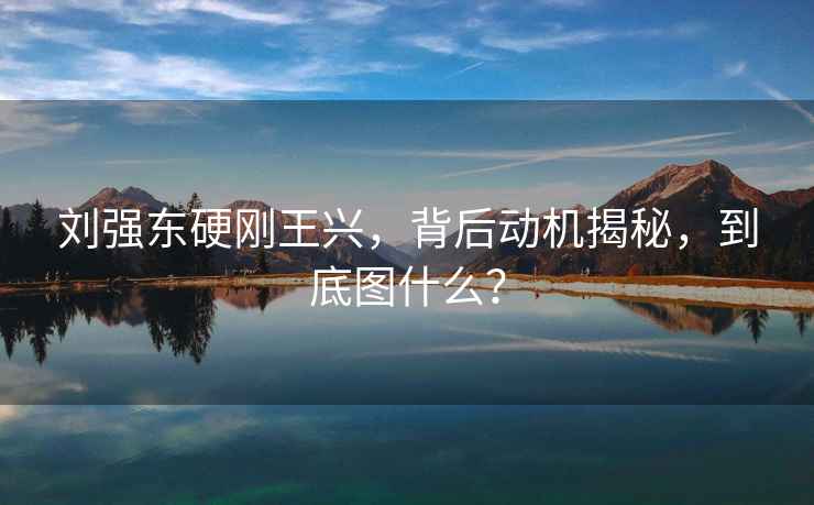 劉強東硬剛王興，背后動(dòng)機揭秘，到底圖什么？