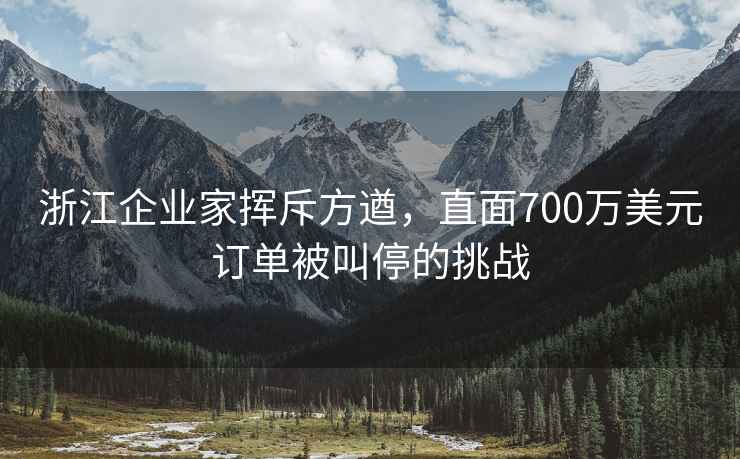 浙江企業(yè)家揮斥方遒，直面700萬(wàn)美元訂單被叫停的挑戰
