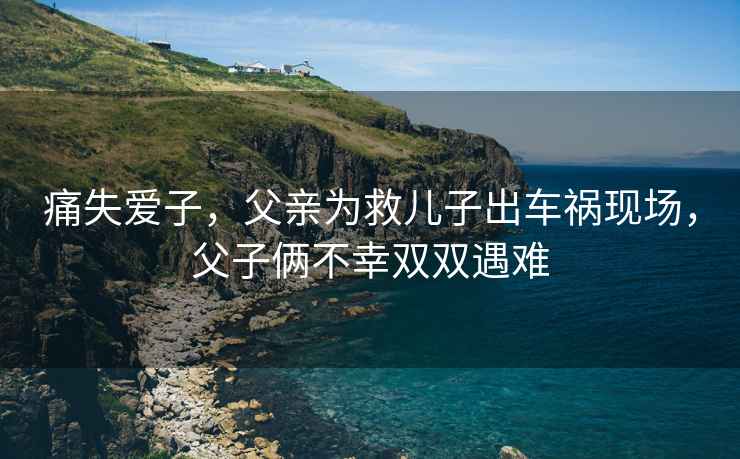 痛失愛(ài)子，父親為救兒子出車(chē)禍現場(chǎng)，父子倆不幸雙雙遇難
