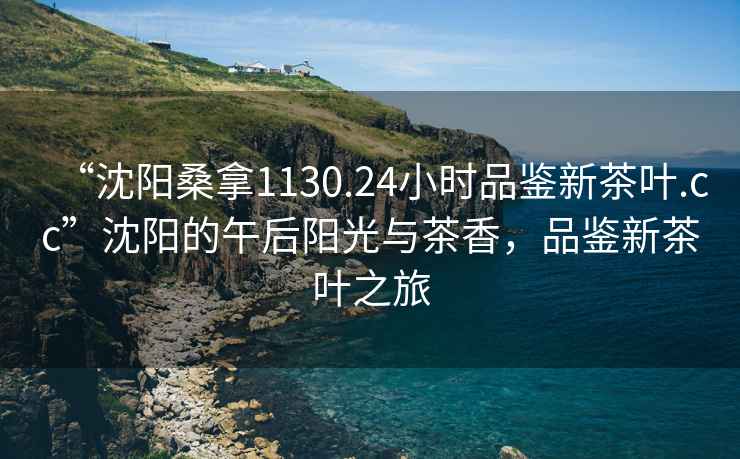 “沈陽(yáng)桑拿1130.24小時(shí)品鑒新茶葉.cc”沈陽(yáng)的午后陽(yáng)光與茶香，品鑒新茶葉之旅