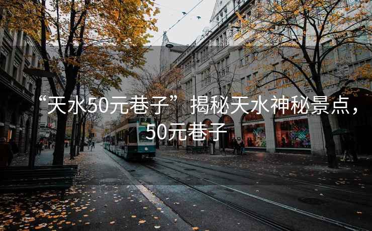 “天水50元巷子”揭秘天水神秘景點(diǎn)，50元巷子