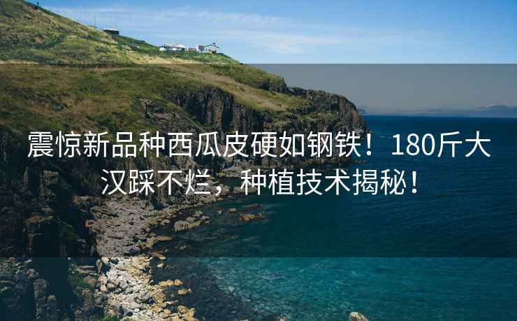 震驚新品種西瓜皮硬如鋼鐵！180斤大漢踩不爛，種植技術(shù)揭秘！