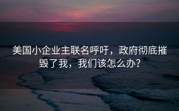 美國小企業(yè)主聯(lián)名呼吁，政府徹底摧毀了我，我們該怎么辦？