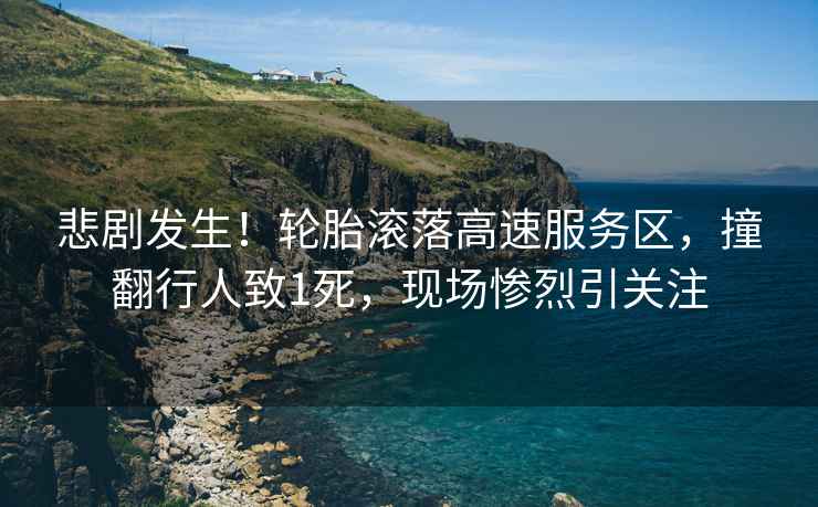 悲劇發(fā)生！輪胎滾落高速服務(wù)區，撞翻行人致1死，現場(chǎng)慘烈引關(guān)注