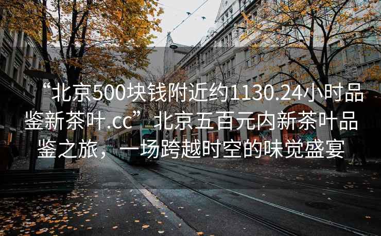 “北京500塊錢(qián)附近約1130.24小時(shí)品鑒新茶葉.cc”北京五百元內新茶葉品鑒之旅，一場(chǎng)跨越時(shí)空的味覺(jué)盛宴