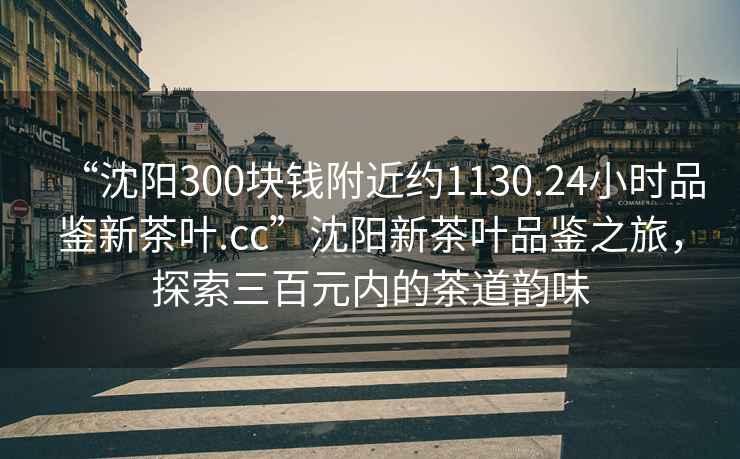 “沈陽(yáng)300塊錢(qián)附近約1130.24小時(shí)品鑒新茶葉.cc”沈陽(yáng)新茶葉品鑒之旅，探索三百元內的茶道韻味