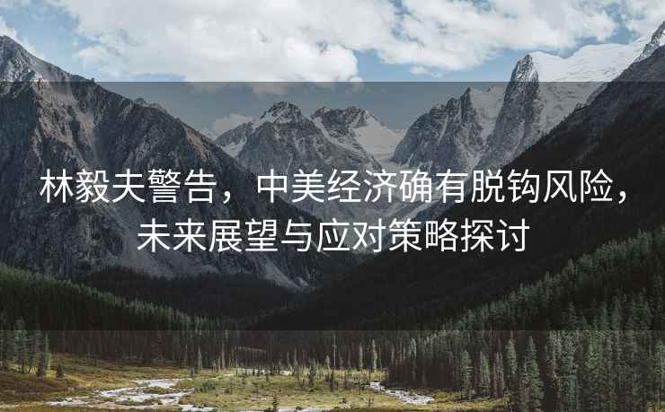 林毅夫警告，中美經(jīng)濟確有脫鉤風(fēng)險，未來(lái)展望與應對策略探討