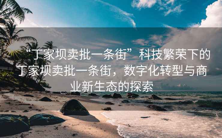 “丁家壩賣(mài)批一條街”科技繁榮下的丁家壩賣(mài)批一條街，數字化轉型與商業(yè)新生態(tài)的探索