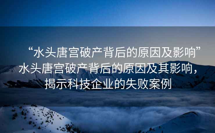 “水頭唐宮破產(chǎn)背后的原因及影響”水頭唐宮破產(chǎn)背后的原因及其影響，揭示科技企業(yè)的失敗案例