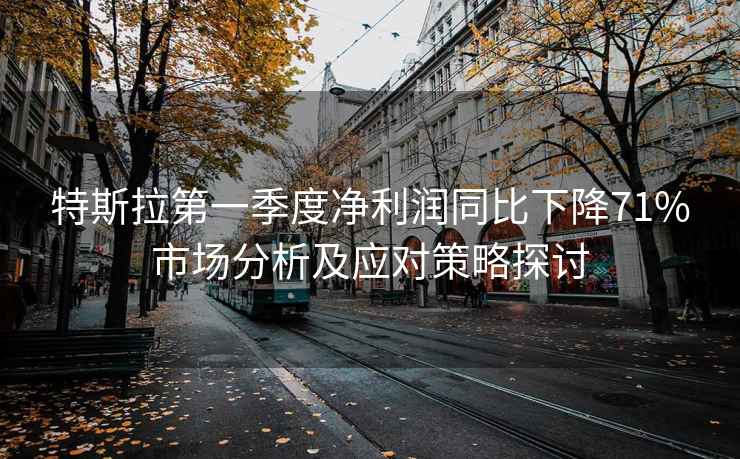 特斯拉第一季度凈利潤同比下降71%市場(chǎng)分析及應對策略探討