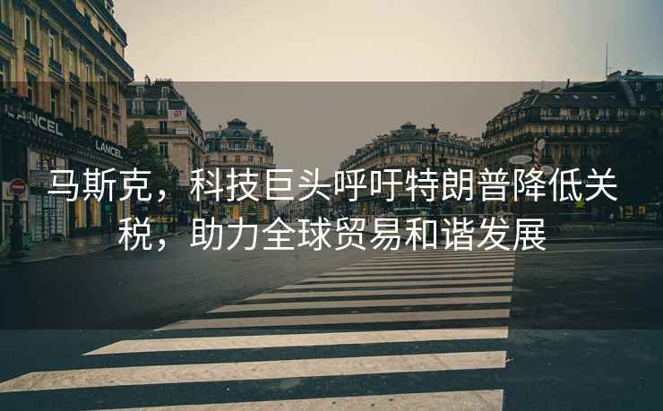 馬斯克，科技巨頭呼吁特朗普降低關(guān)稅，助力全球貿易和諧發(fā)展