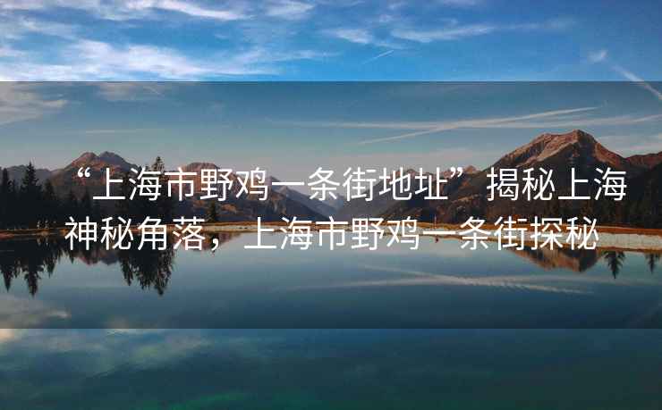 “上海市野雞一條街地址”揭秘上海神秘角落，上海市野雞一條街探秘