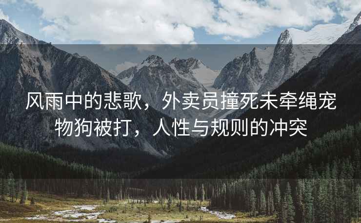 風(fēng)雨中的悲歌，外賣(mài)員撞死未牽繩寵物狗被打，人性與規則的沖突