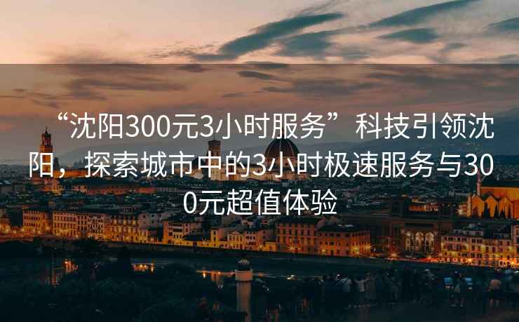 “沈陽(yáng)300元3小時(shí)服務(wù)”科技引領(lǐng)沈陽(yáng)，探索城市中的3小時(shí)極速服務(wù)與300元超值體驗