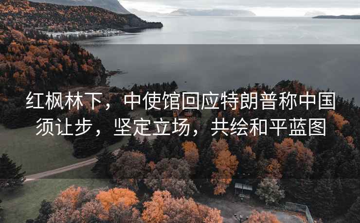 紅楓林下，中使館回應特朗普稱(chēng)中國須讓步，堅定立場(chǎng)，共繪和平藍圖