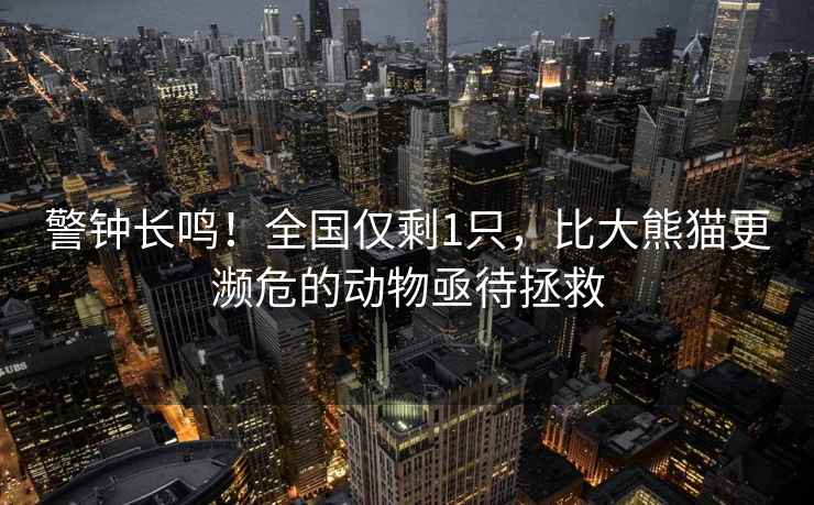 警鐘長(cháng)鳴！全國僅剩1只，比大熊貓更瀕危的動(dòng)物亟待拯救
