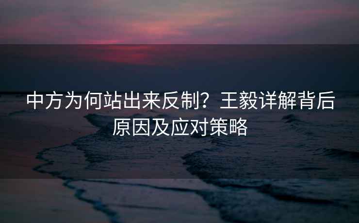 中方為何站出來(lái)反制？王毅詳解背后原因及應對策略