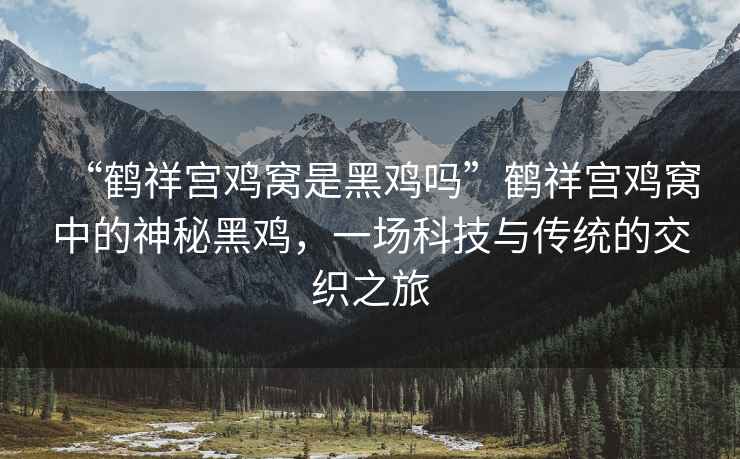 “鶴祥宮雞窩是黑雞嗎”鶴祥宮雞窩中的神秘黑雞，一場(chǎng)科技與傳統的交織之旅