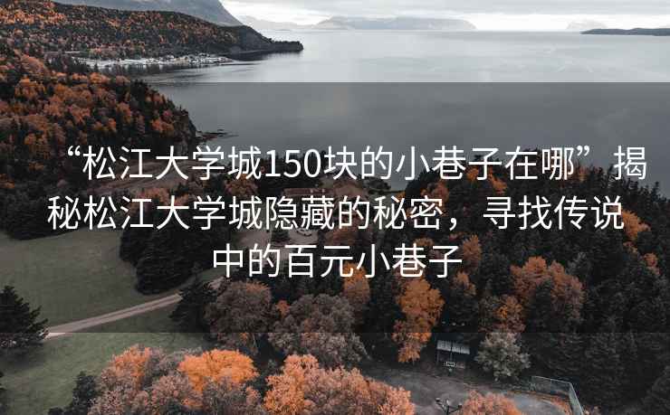 “松江大學(xué)城150塊的小巷子在哪”揭秘松江大學(xué)城隱藏的秘密，尋找傳說(shuō)中的百元小巷子
