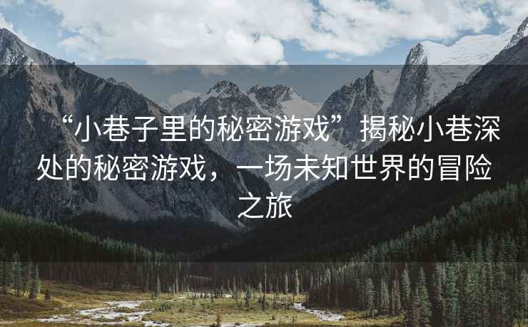 “小巷子里的秘密游戲”揭秘小巷深處的秘密游戲，一場(chǎng)未知世界的冒險之旅