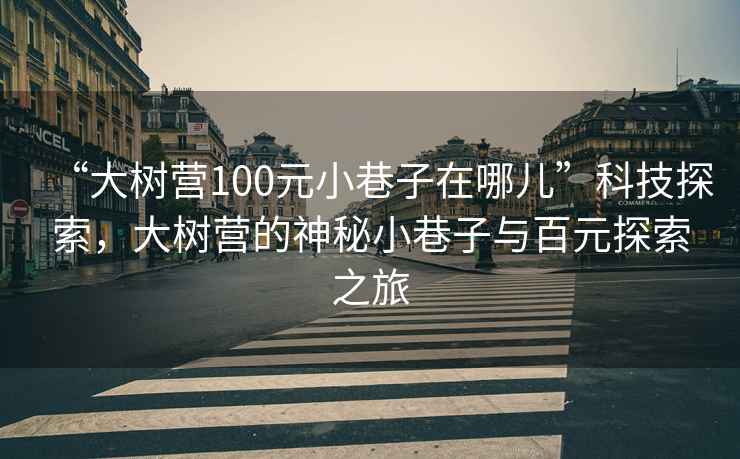 “大樹(shù)營(yíng)100元小巷子在哪兒”科技探索，大樹(shù)營(yíng)的神秘小巷子與百元探索之旅