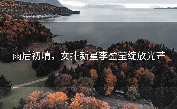 雨后初晴，女排新星李盈瑩綻放光芒