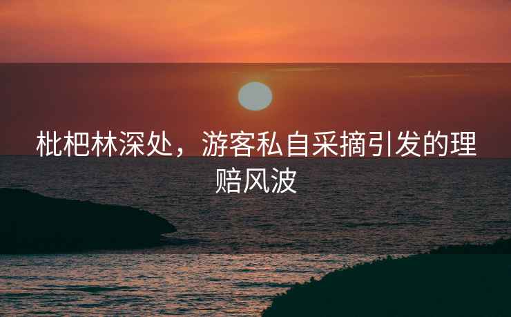 枇杷林深處，游客私自采摘引發(fā)的理賠風(fēng)波