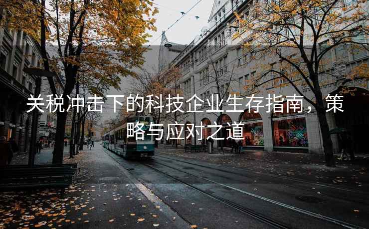關(guān)稅沖擊下的科技企業(yè)生存指南，策略與應對之道