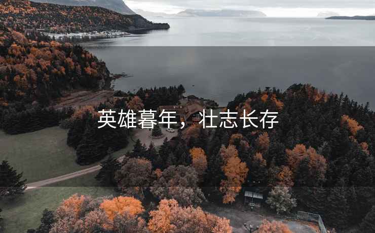 英雄暮年，壯志長(cháng)存
