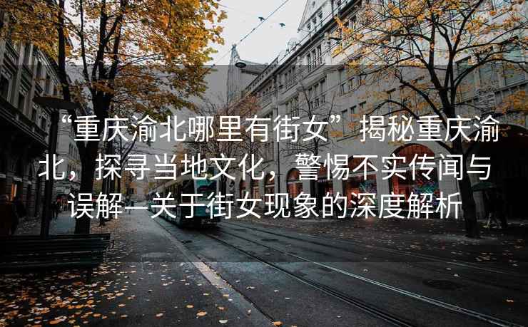“重慶渝北哪里有街女”揭秘重慶渝北，探尋當地文化，警惕不實(shí)傳聞與誤解—關(guān)于街女現象的深度解析