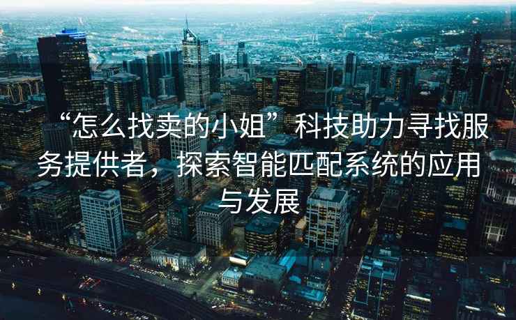 “怎么找賣(mài)的小姐”科技助力尋找服務(wù)提供者，探索智能匹配系統的應用與發(fā)展