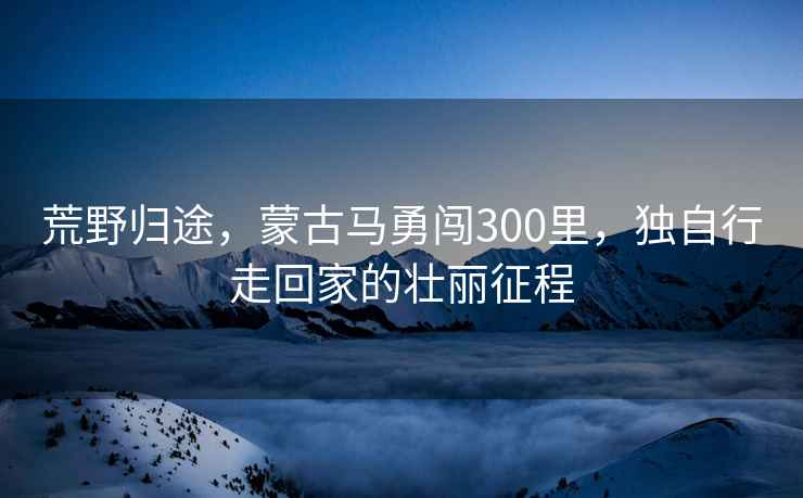 荒野歸途，蒙古馬勇闖300里，獨自行走回家的壯麗征程