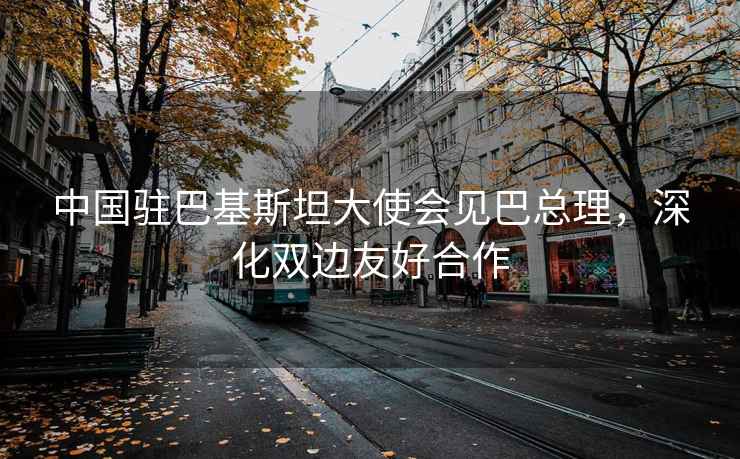 中國駐巴基斯坦大使會(huì )見(jiàn)巴總理，深化雙邊友好合作