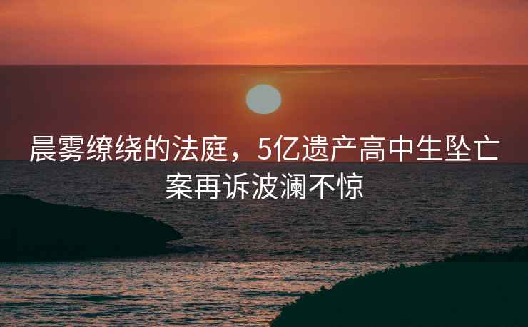晨霧繚繞的法庭，5億遺產(chǎn)高中生墜亡案再訴波瀾不驚