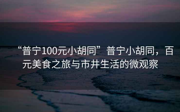 “普寧100元小胡同”普寧小胡同，百元美食之旅與市井生活的微觀(guān)察