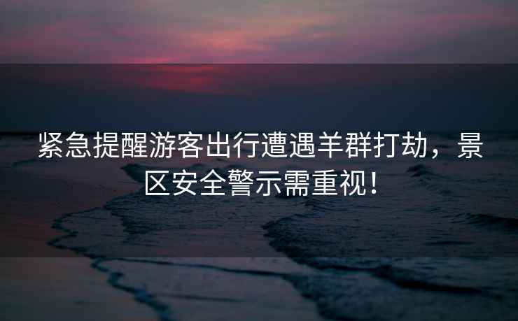 緊急提醒游客出行遭遇羊群打劫，景區安全警示需重視！