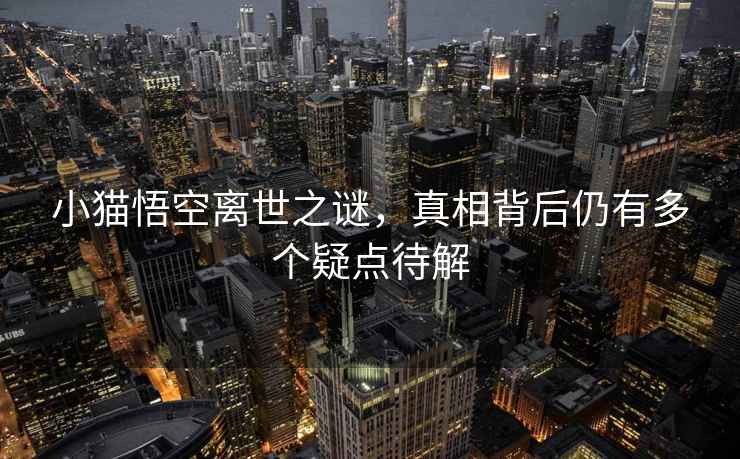 小貓悟空離世之謎，真相背后仍有多個(gè)疑點(diǎn)待解
