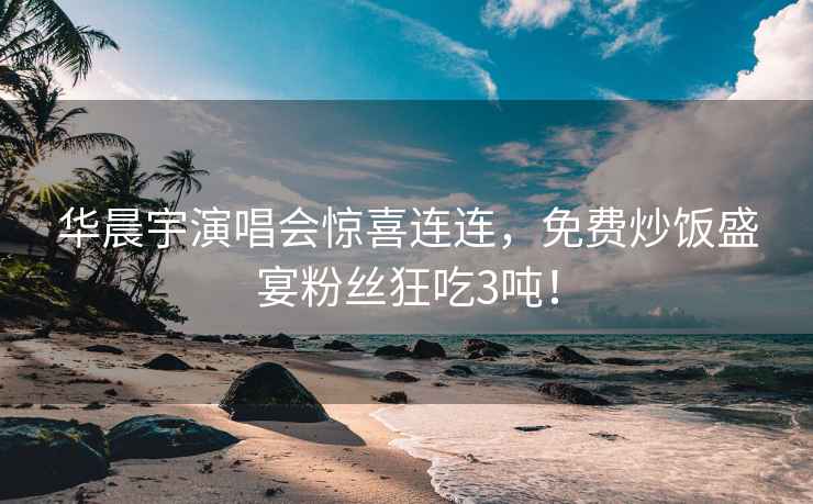 華晨宇演唱會(huì )驚喜連連，免費炒飯盛宴粉絲狂吃3噸！