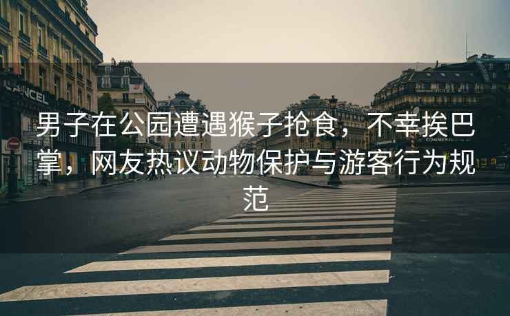 男子在公園遭遇猴子搶食，不幸挨巴掌，網(wǎng)友熱議動(dòng)物保護與游客行為規范